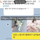 [공지] 춘카 웨딩 #26. 무이 스튜디오 촬영 준비
