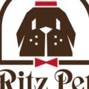 대구애견 이미지