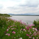 낙동강변9 이미지