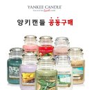 [양키캔들] Yankeecandle 라지자(Large Jar Candle) 5월 공동구매 진행합니다. 이미지