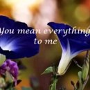 You Mean Everything to me/Neil Sedaka 이미지