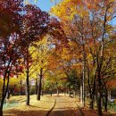 세일주유소 화장실 이미지