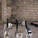 (주)이호 이미지