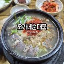 오가네국밥 | 속초 오가네순대국 방문후기 | 속초 현지인 국밥 추천 순대국밥 아바이순대국밥 소머리국밥 내돈내산