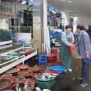 수산시장 - 광명시 기아로62번길 18 | 수산시장