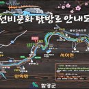 월림교 Daum카페