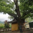 우봉마을회관 이미지