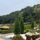 화개정원 관리사무소 | 강화도 갈만한곳 추천, 화개정원 솥뚜껑 따라 투어!(+임신 34주차 후기)