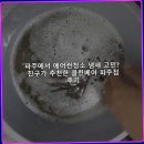 냄새친구 | 파주에서 에어컨청소 냄새 고민? 친구가 추천한 클린베어 파주점 후기