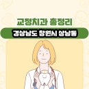 상남으뜸플란트치과의원 | 경상남도 창원시 상남동 교정치과 총정리