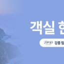 트리피카 네이버블로그