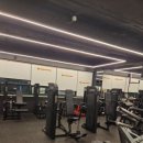 올바디짐 | 염창pt : 락바디짐 신혜원트레이너 pt 후기