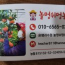 꿀맛과수원 이미지