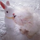 돼지프린스 이미지