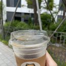 카페리코르파르크