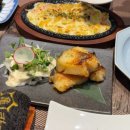 카메참치 이미지