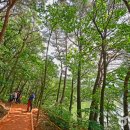 회동수원지 이미지