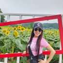 서산스포츠댄스학원 이미지