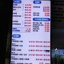 싱싱산오징어 이미지
