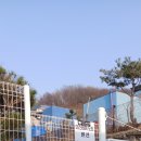 더스테이&도트 | [ 더스테이&amp;도트 ] 또 가고싶은 연천펜션 💗