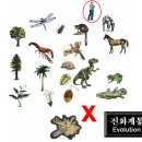 새창조이야기 - 송파구 거마로22길 24 | 새창조이야기