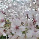 신석체육관 이미지