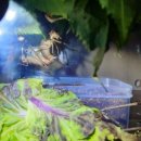 주산농장2 이미지