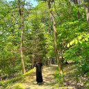 용인중앙공원_M 이미지