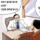 웨일플라워