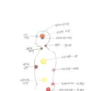 차크라 Daum카페
