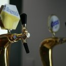 로데오호프 이미지