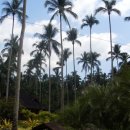 온천공원2 이미지