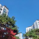 10/28(화)일. 예방접종(독감.코로나) 이미지