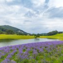 지산골프연습장 이미지