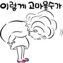 그레이스 고양이 병원 이미지