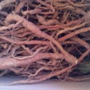 국산1로 이미지