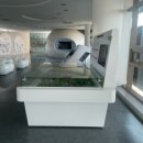 시티월드 이미지