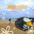 천하일품 칼국수 | 우도 맛집 추천 애견동반 가능한 보말칼국수 해물라면 맛집 호로락