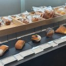 오토스테이션 | 오사카 호텔 | 오사카 스테이션 오토그래프 컬렉션 호텔 숙박 후기 saka Station Autograph Collection