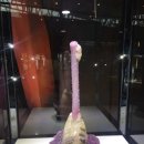 수정칼라 이미지
