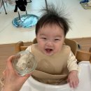 힐링한우성성 | 천안 성성동 힐링한우 정육점 이유식 소고기 내돈내산 구매후기