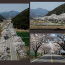 백전소재지 이미지