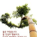 마루벌돌구이군산점 이미지