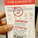 부산세관 | 부산김해출국 오키니와 항공권 나하공항 입국심사 입국신고서 후기 (ft.이스타항공)