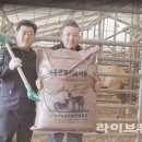 에코플라이 이미지