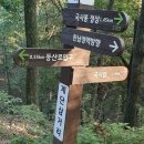 삼죽 기솔리 국사암 석조여래입상 | 한남정맥 09 - 구봉산 구간 : 미륵의 고장 안성시로 들어서며 궁예의 흔적을 찾아 쌍미륵사까지..