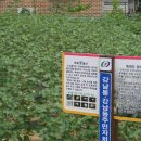 강남동-10 이미지