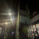 [청담동] 스페인 미슐랭3스타 DiverXo 출신 셰프의 파인다이닝 빈트 청담 후기