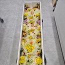제일병원장례식장 - 남구 남산로354번길 26 | 제일병원장례식장