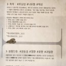 다다티하우스 이미지